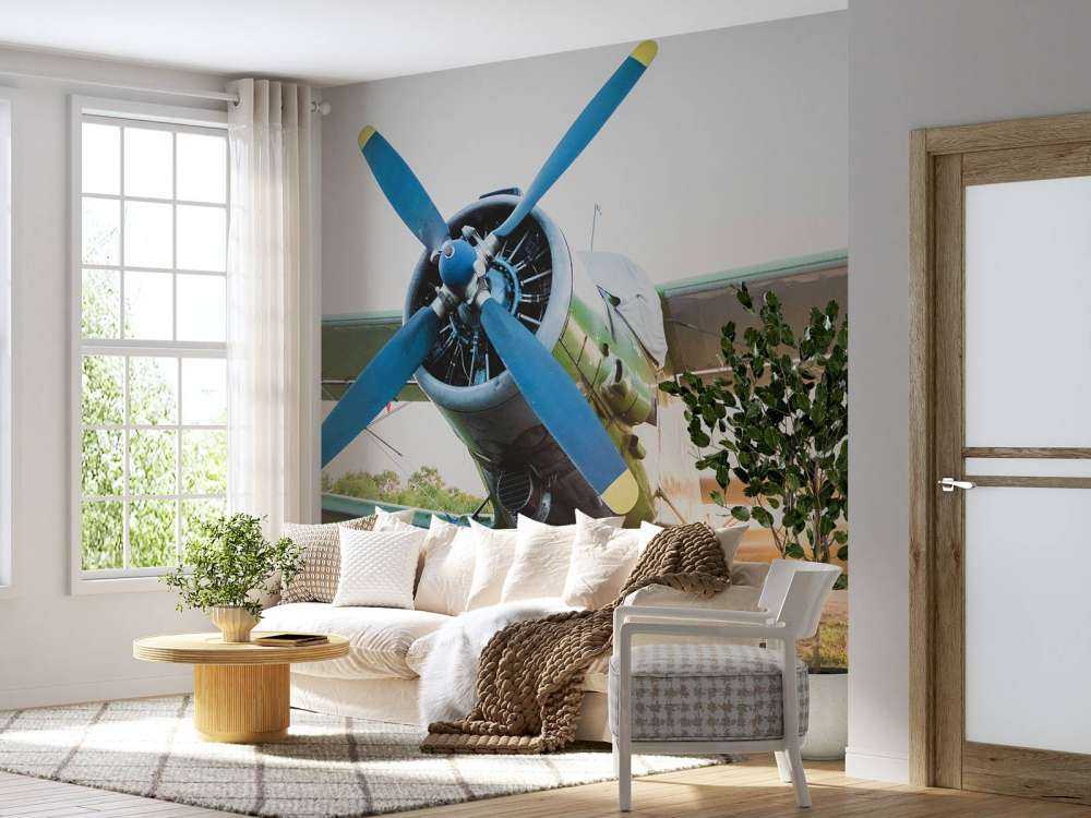 Kleines einmotoriges Privatflugzeug