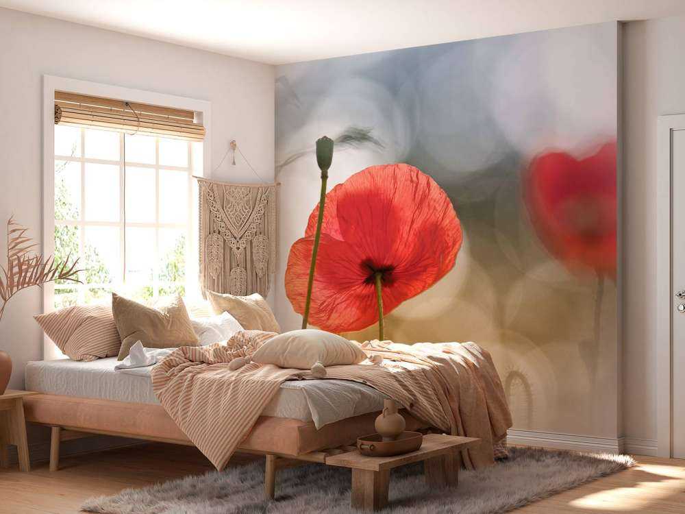 Morning Poppies