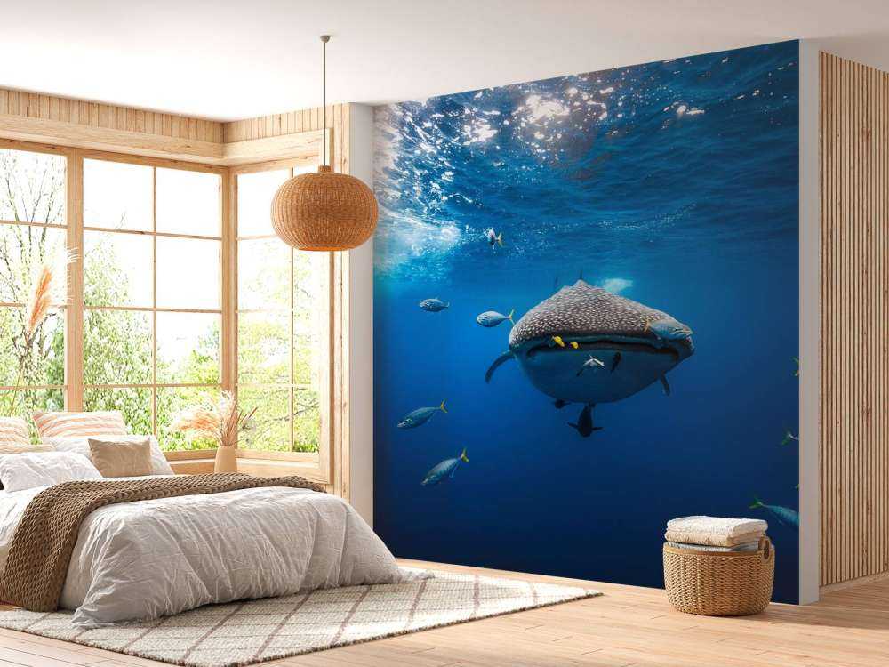 Whale shark escorted by a school of bonito