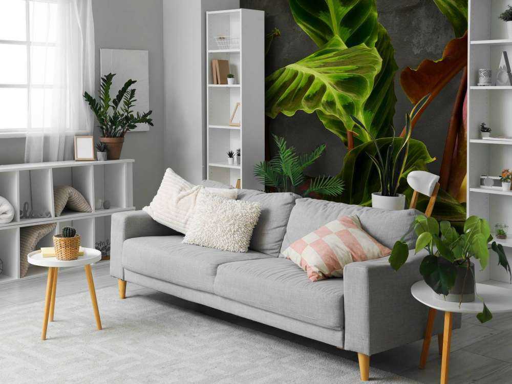 Pflanze mit schönen grünen Blättern