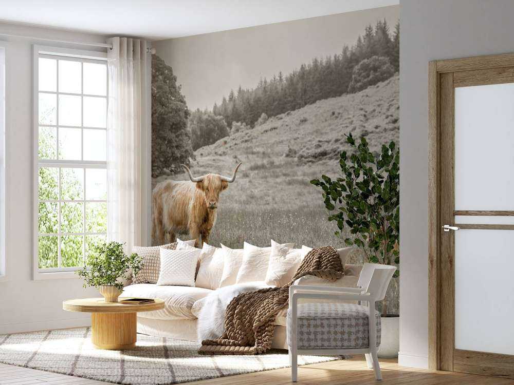 Schottischer Highlander mit Kalb