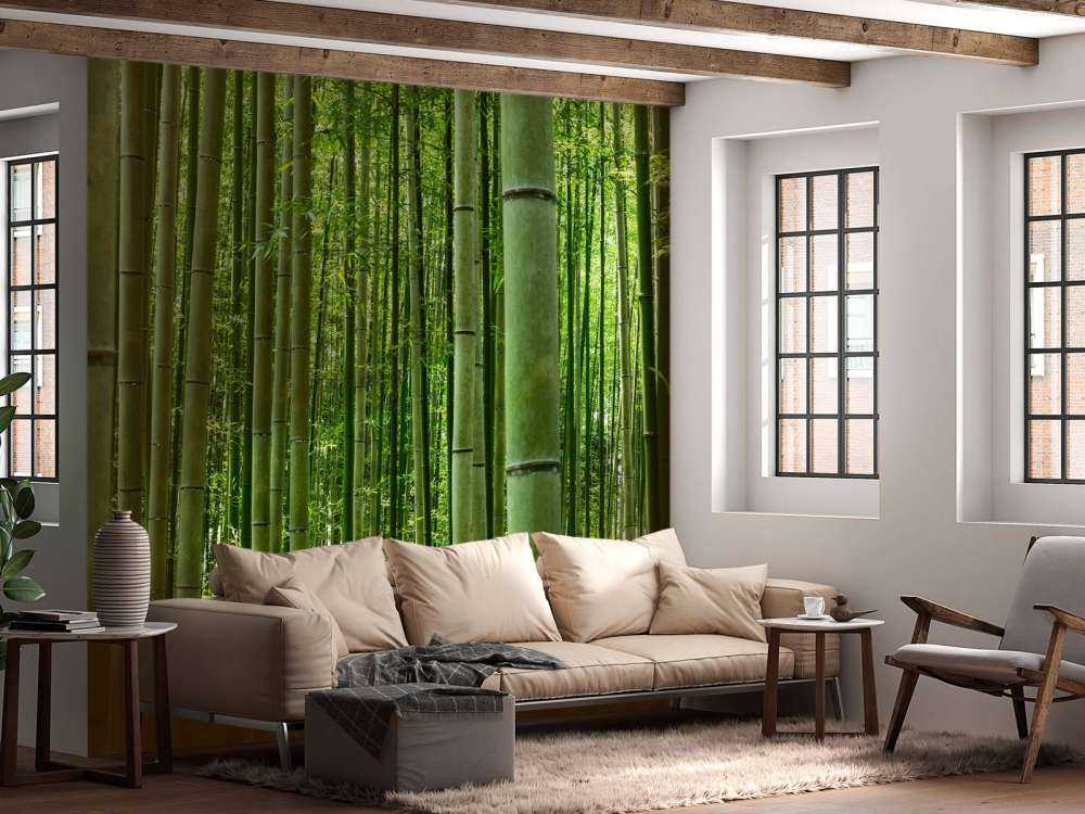 Inmitten des Bambuswaldes