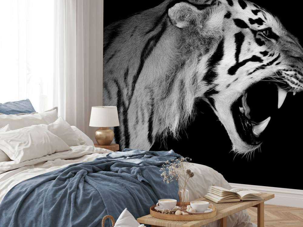 Brüllender Tiger schwarz