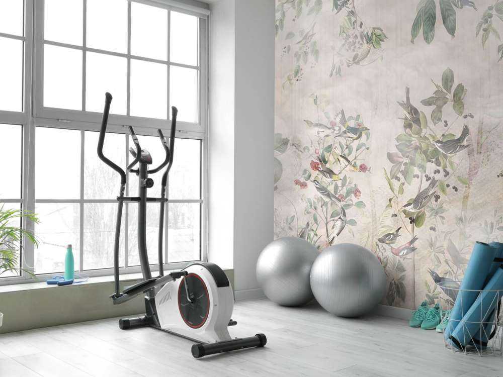 Waldvögel in Harmonie