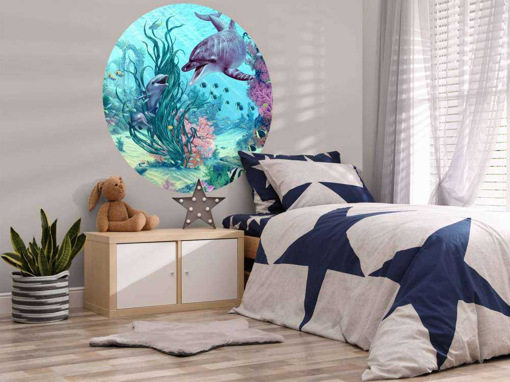 Hide And Seek Dolphins