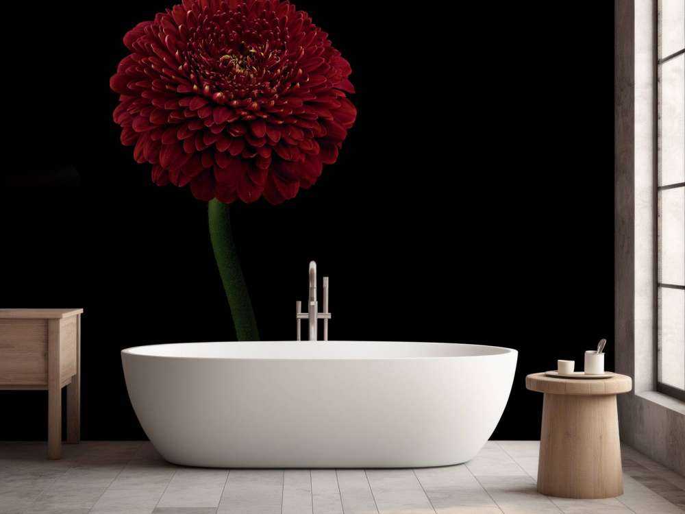 Rote Blume am Stiel