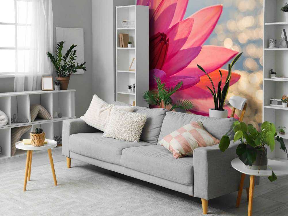 Lotusblume auf Wasser