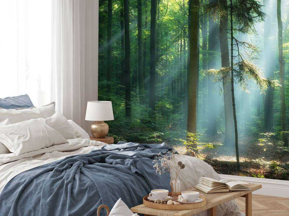 Sonnenaufgang im Wald