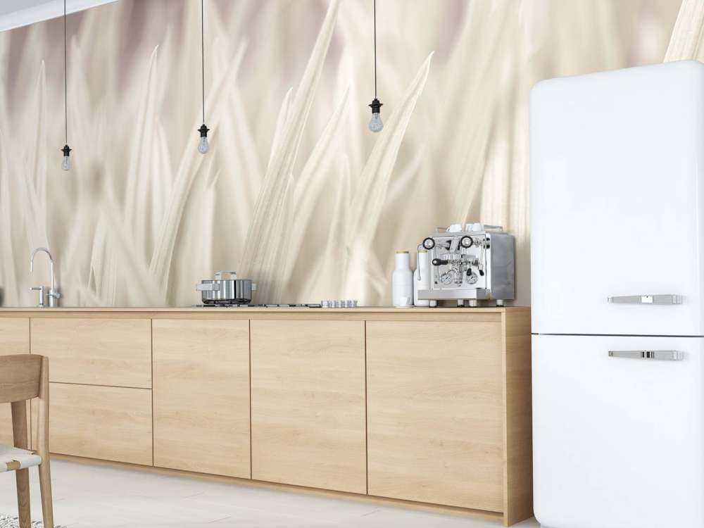 Nahaufnahme von Grashalmen