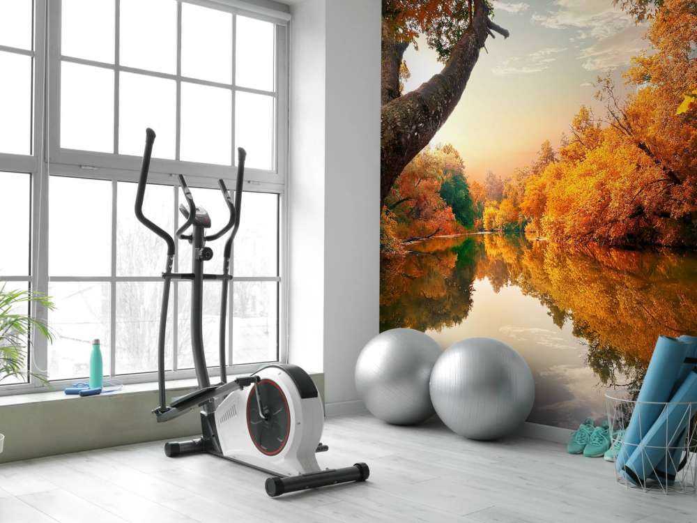 Orange Herbst