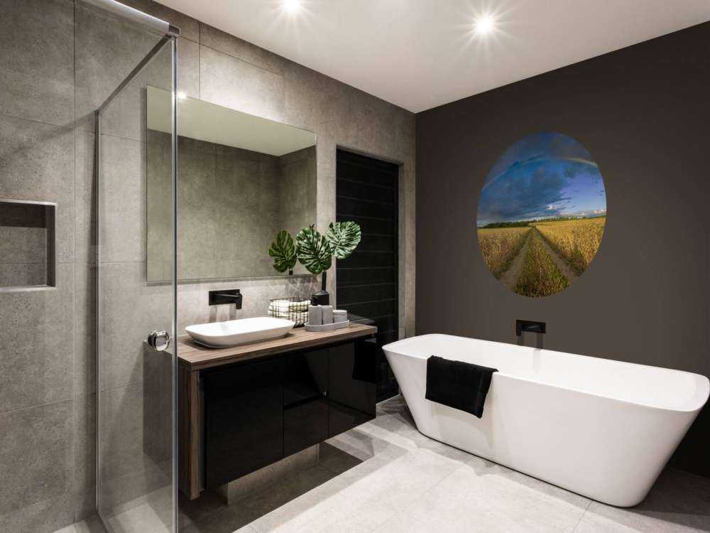 Regenbogen über einem Weizenfeld