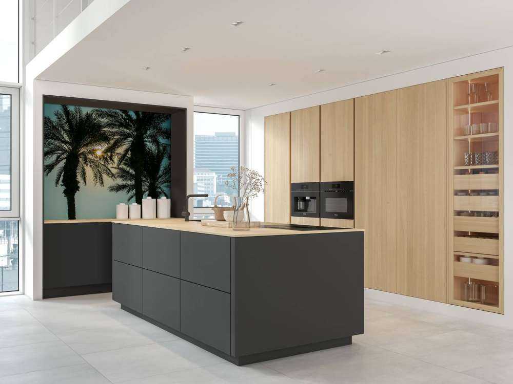 Silhouette von Palmen