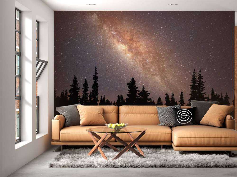 Milchstraße über Silhouette von Bäumen