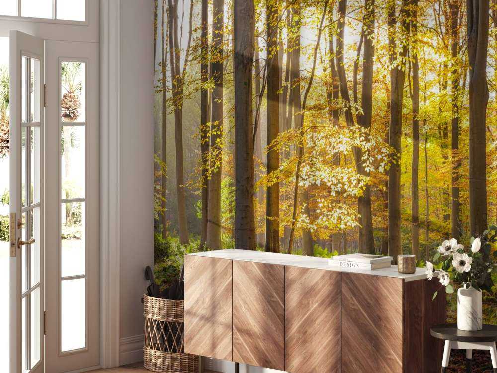 Sonniger Wald