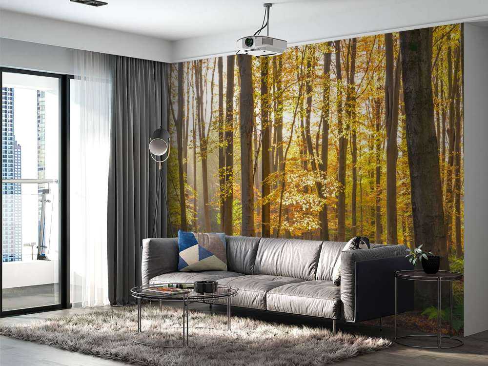 Sonniger Wald