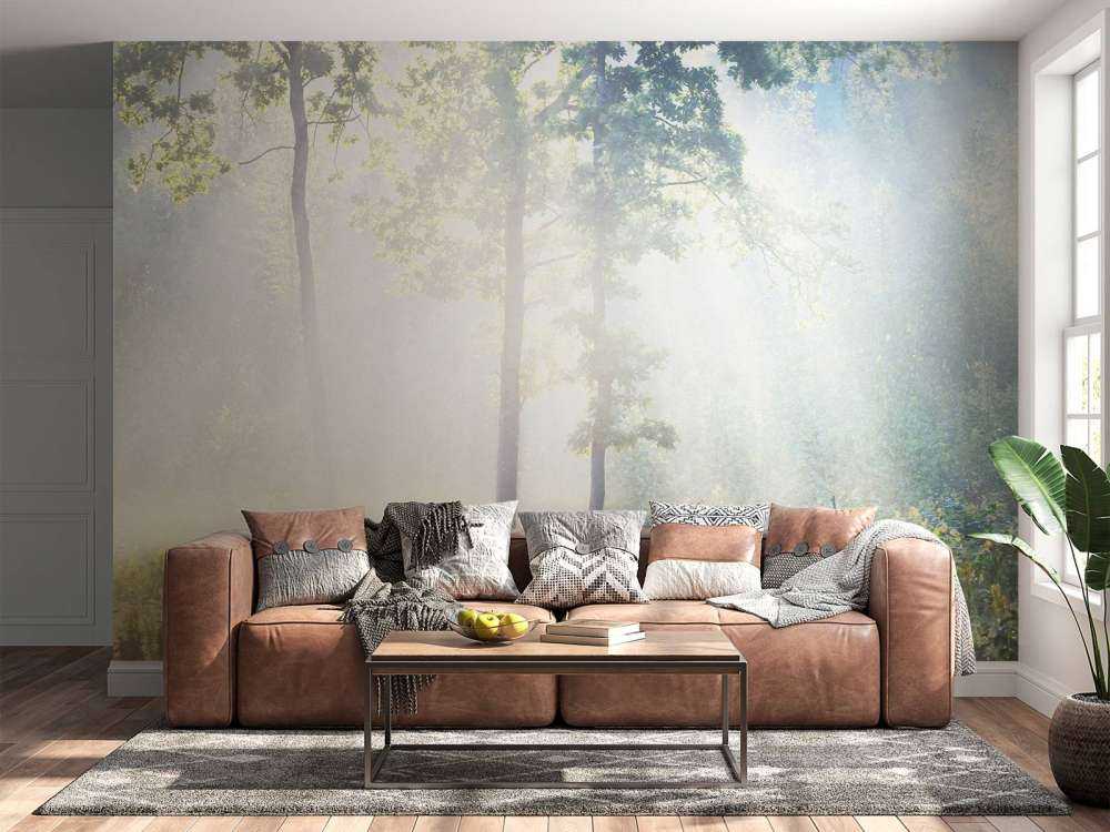 Ein geheimnisvoller Wald