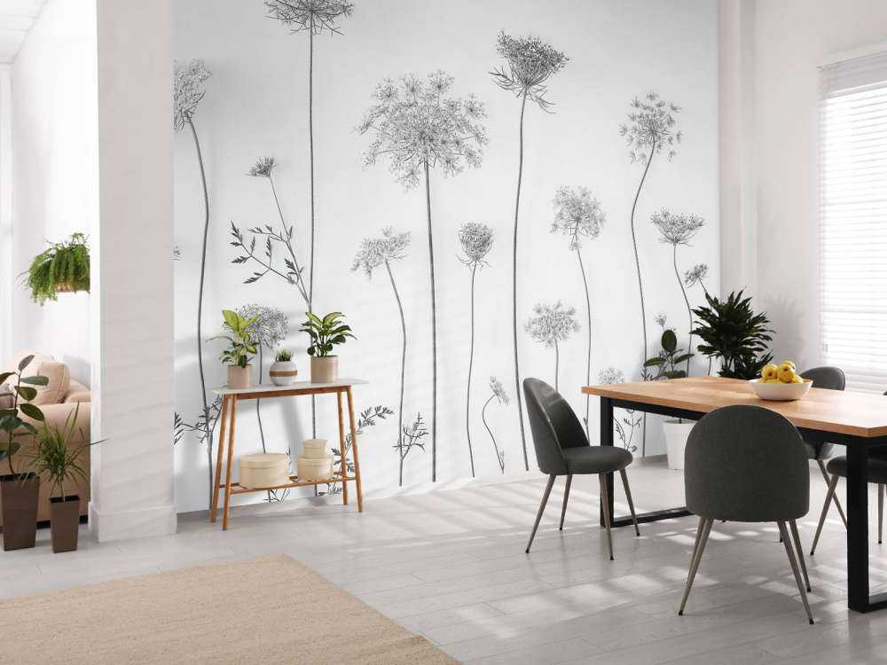 Kuh-Petersilie in Schwarz und Weiß