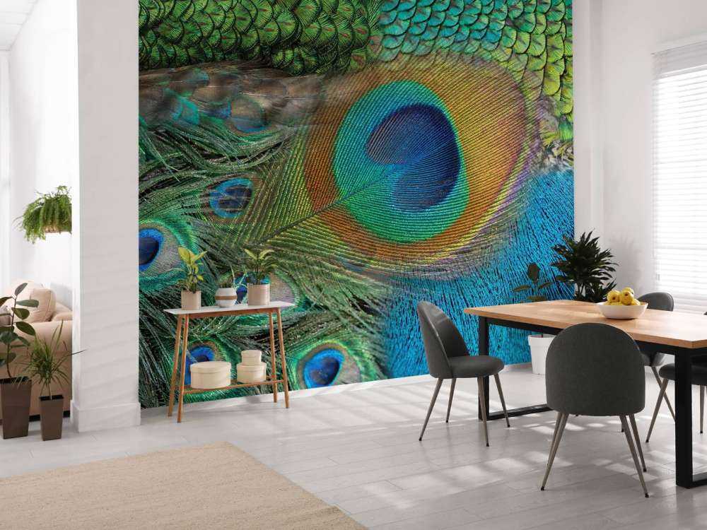 Pfau Federn auf Fototapet