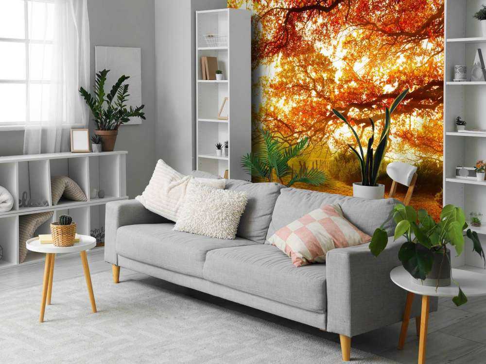 Herbstlandschaft mit Wald und Wiese