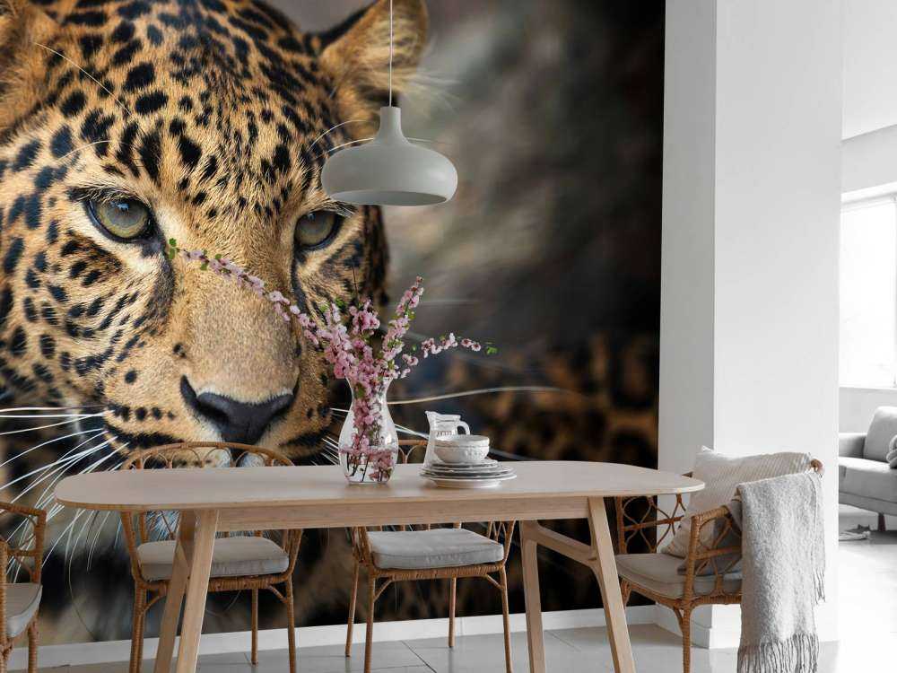Close, up eines Leoparden