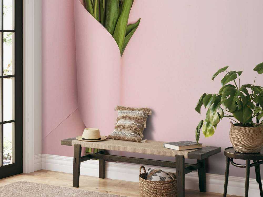 Tulpen Pastell