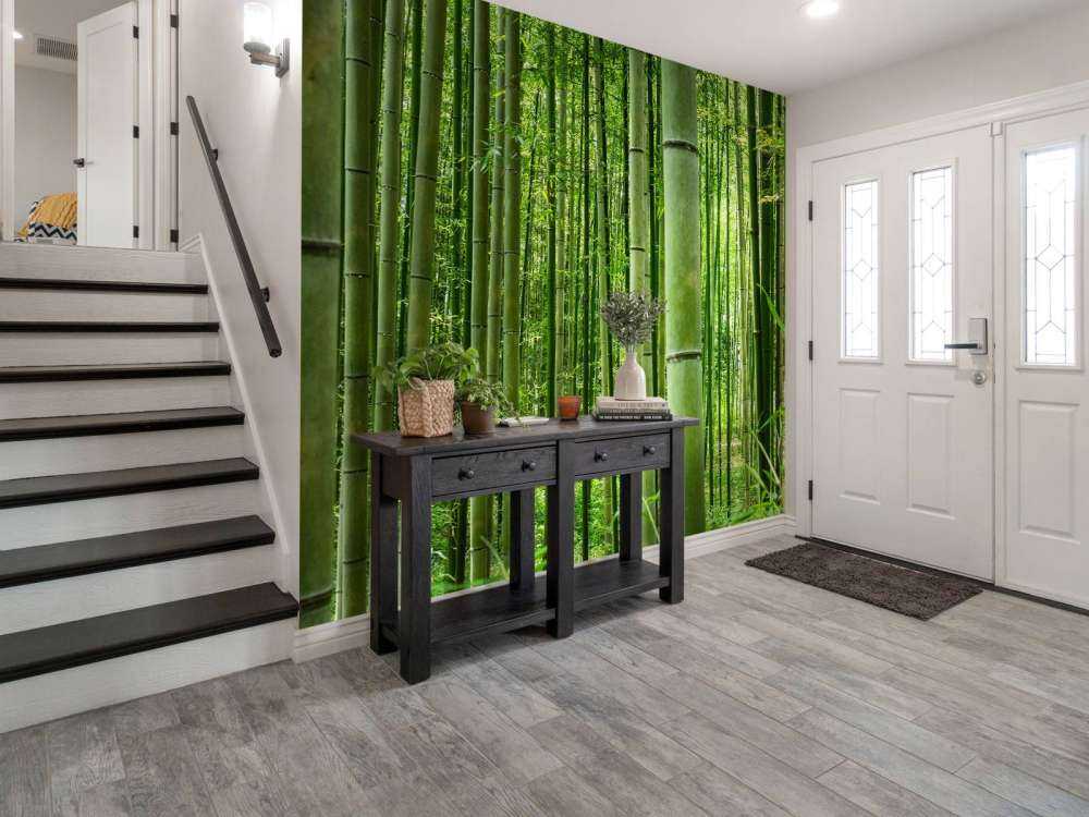 Inmitten des Bambuswaldes