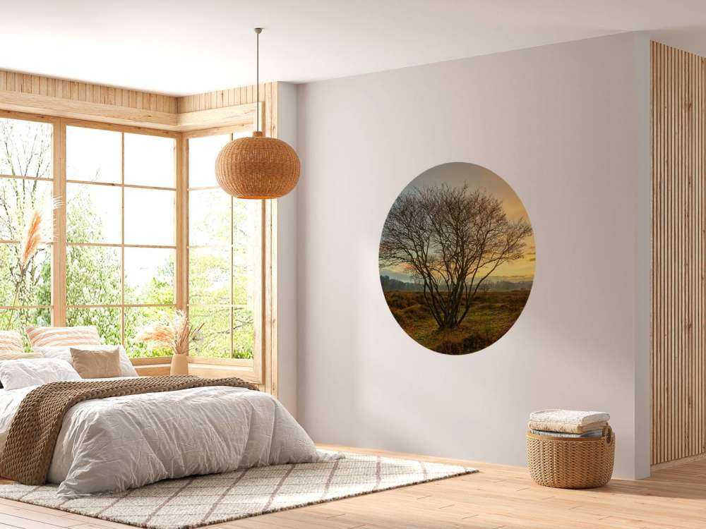 Sonnenaufgang auf der Heide