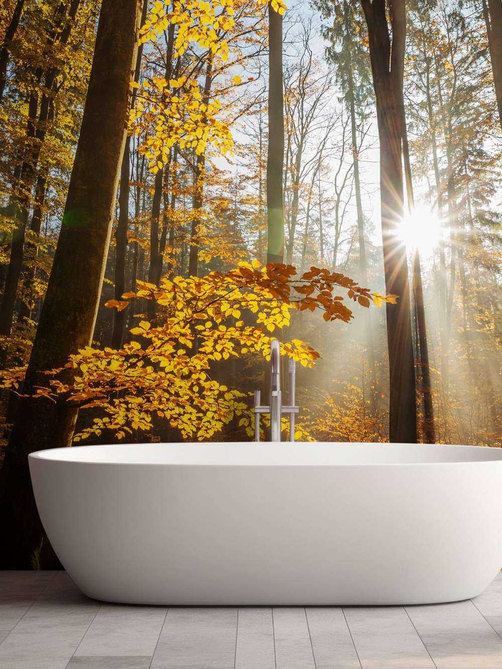 Tapete mit einem herbstlichen Wald