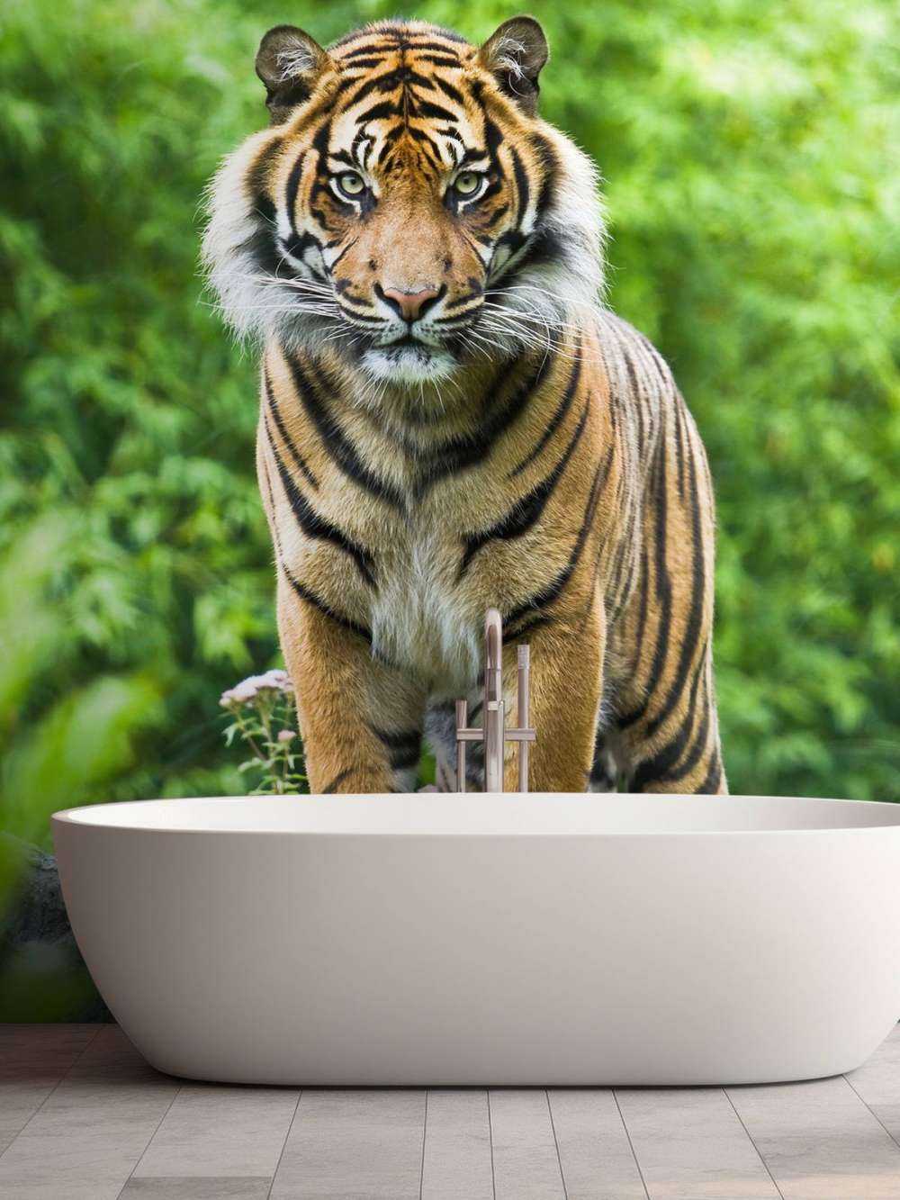 Tiger auf einem Stein