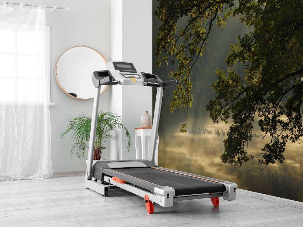 Überhängende Äste über dem Wasser