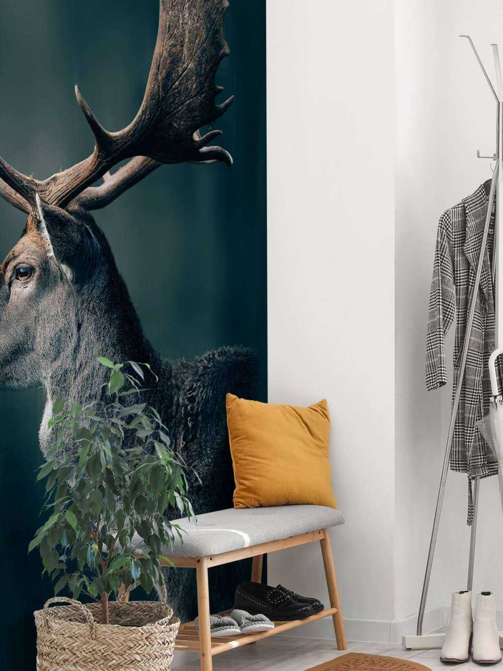 Damhirsch Nahaufnahme