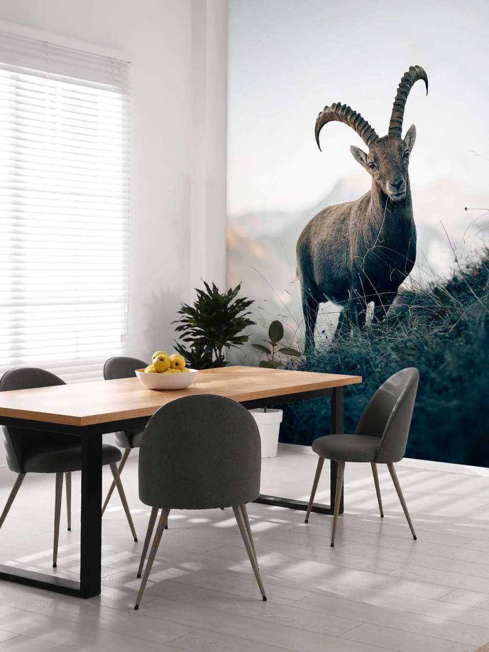 Steinbock in den Bergen