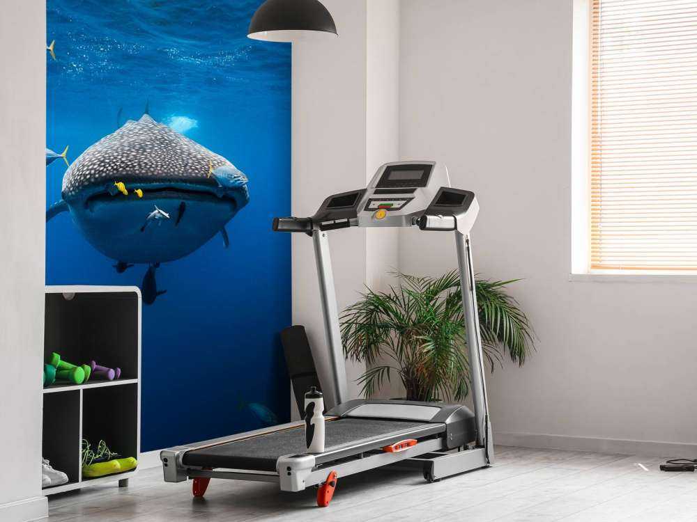 Whale shark escorted by a school of bonito