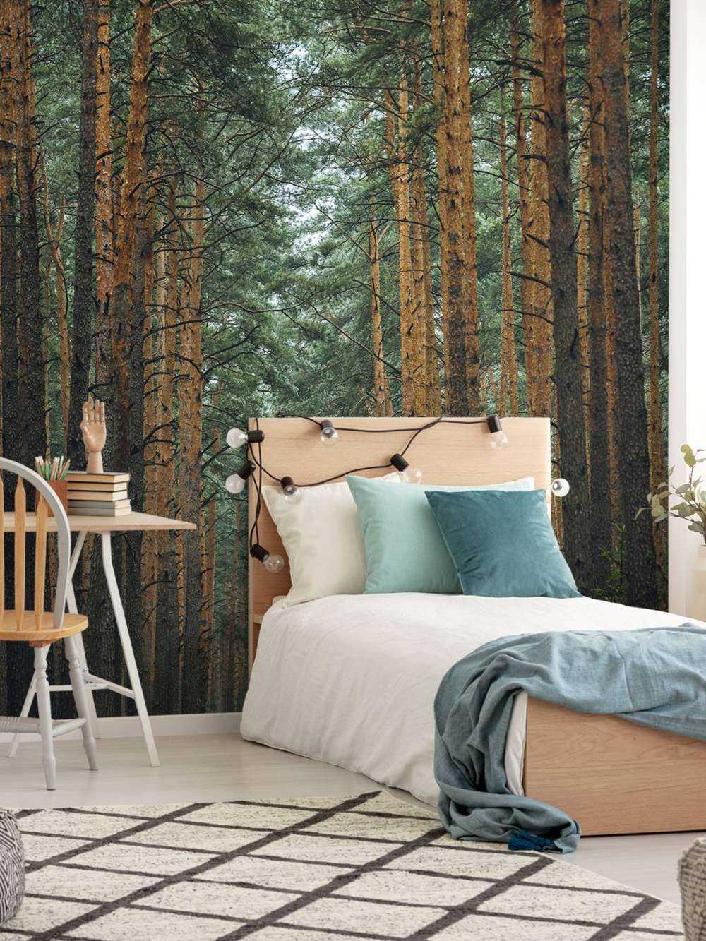 The Forest road 1