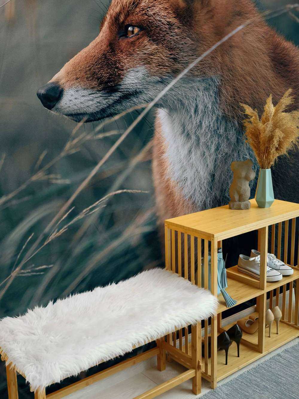 Fuchs in den Dünen