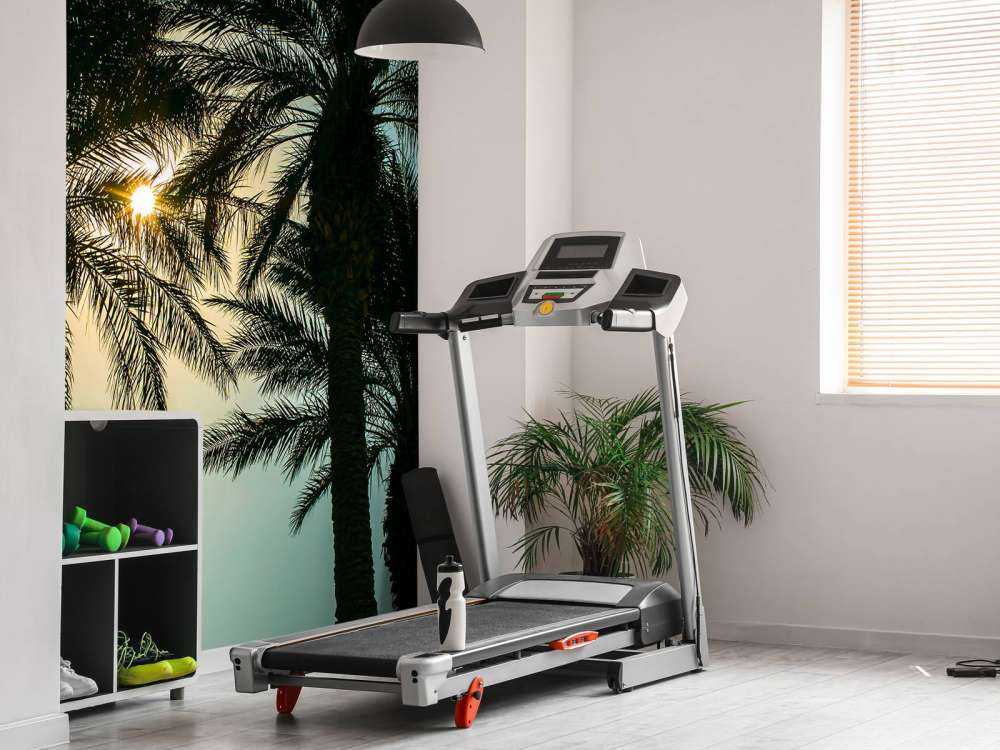 Silhouette von Palmen