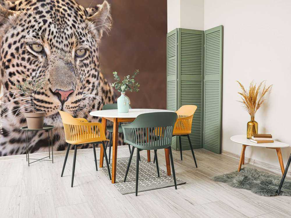 Leopard Porträt