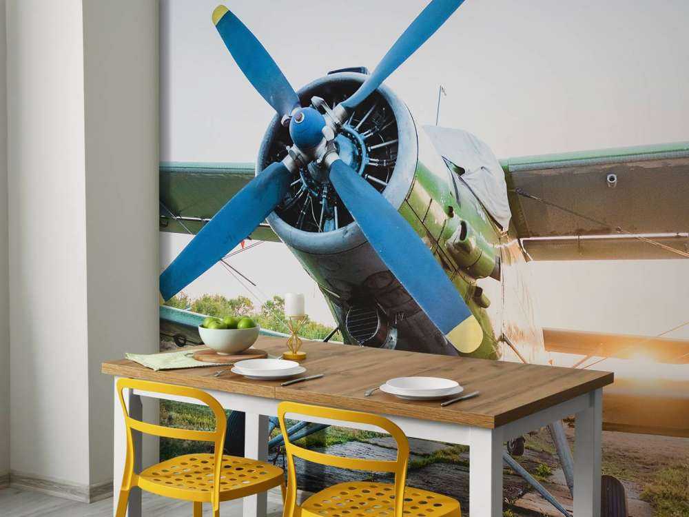 Kleines einmotoriges Privatflugzeug