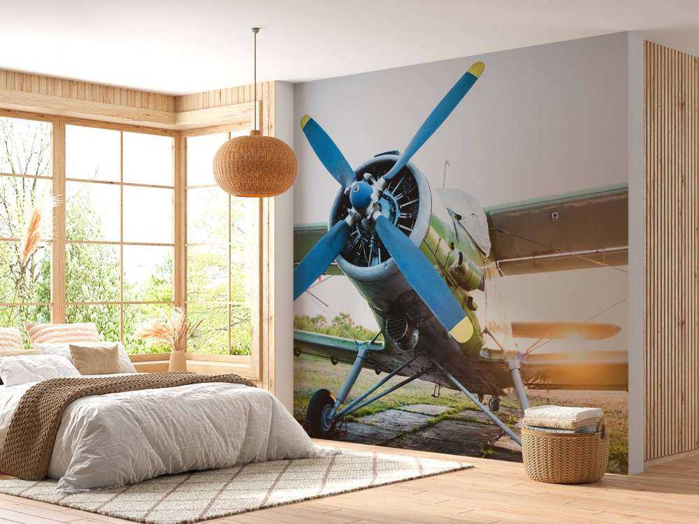 Kleines einmotoriges Privatflugzeug