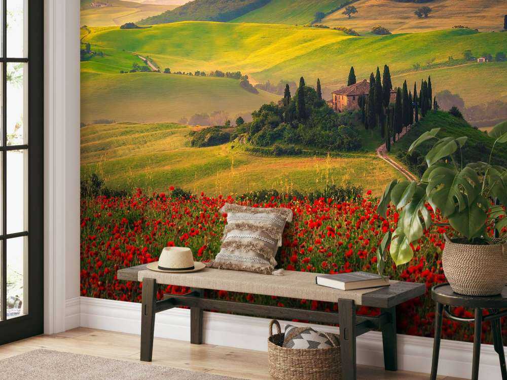 Roter Mohn mit italienischer Landschaft
