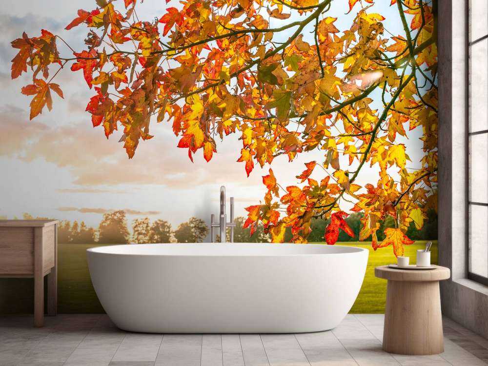 Herbstbaum bei Sonnenuntergang