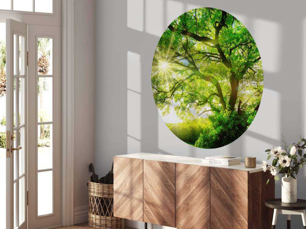 Baum mit Sonnenstrahlen