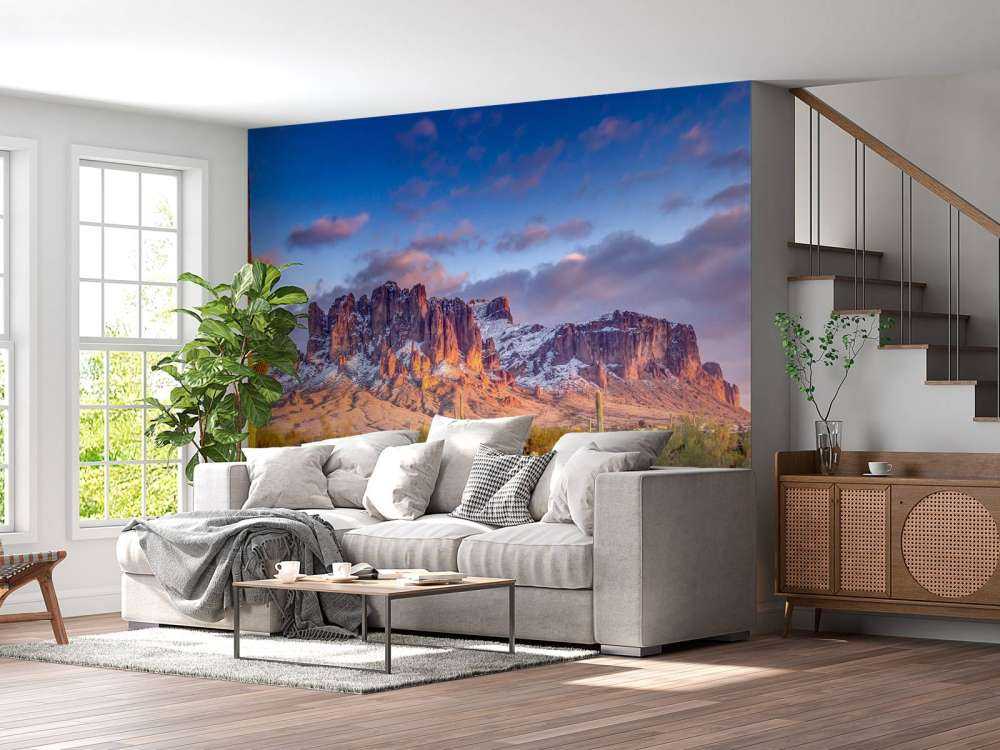 Kakteen und Berge