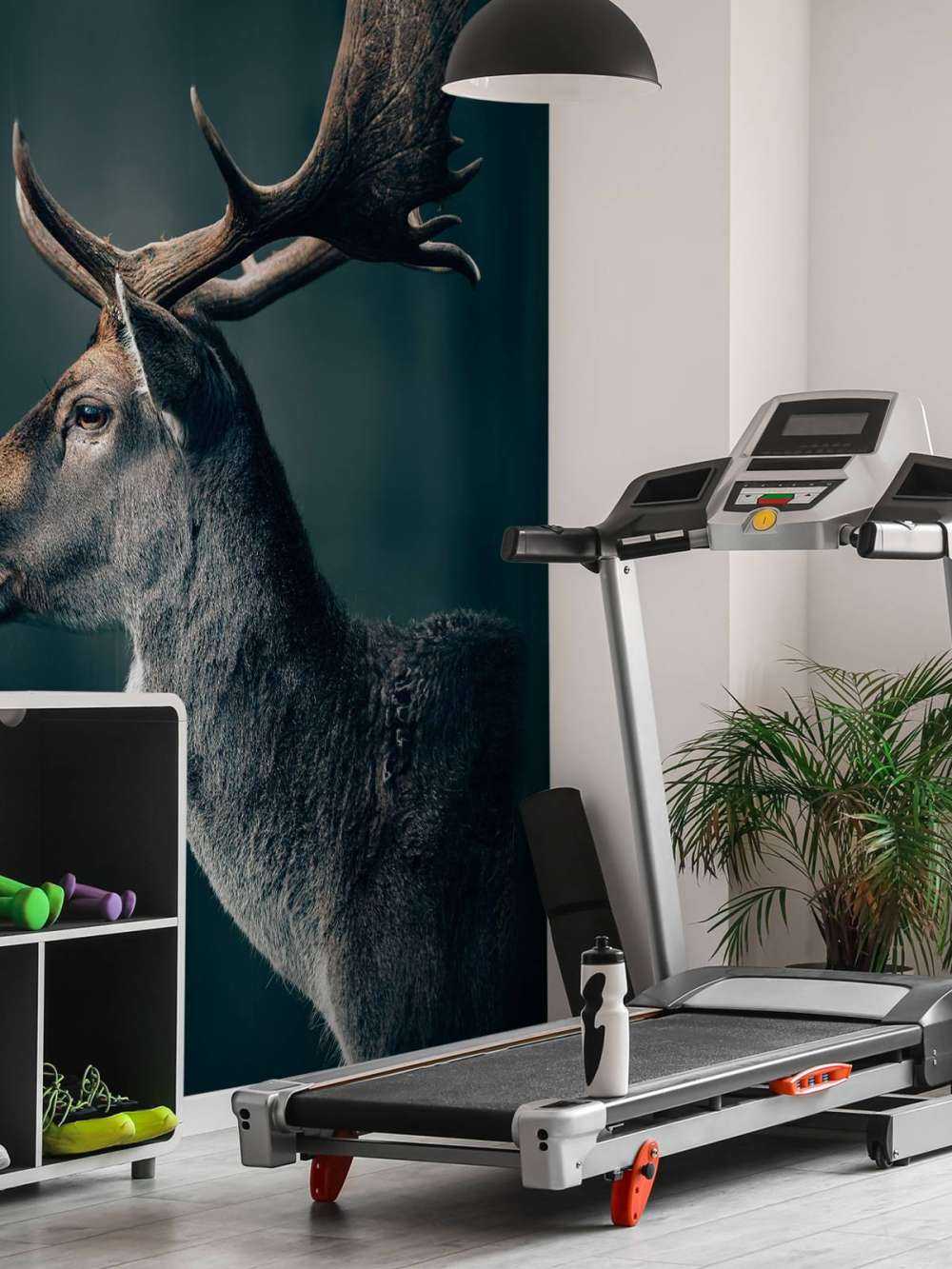 Damhirsch Nahaufnahme