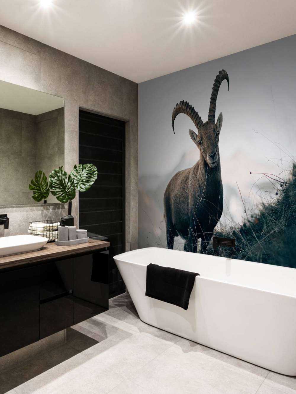 Steinbock in den Bergen