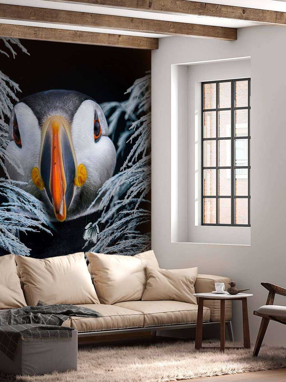 Atlantic Puffins Porträt