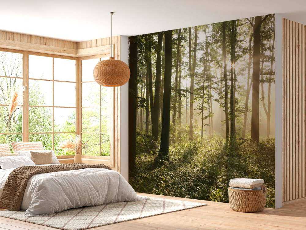 Nebliger Laubwald
