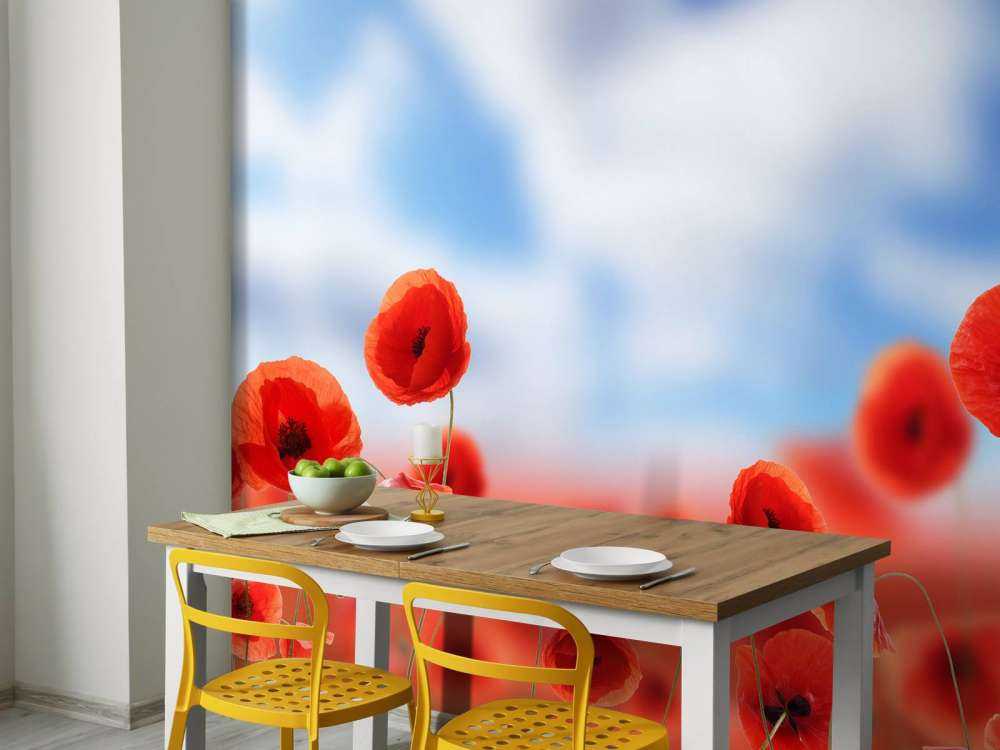 Blauer Himmel und rote Mohnblumen