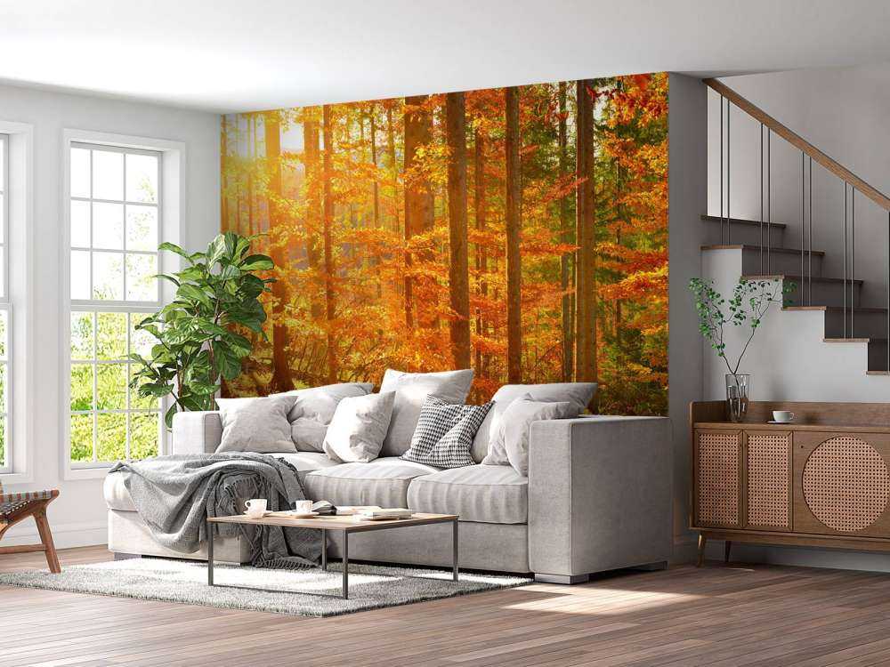Herbst Wald