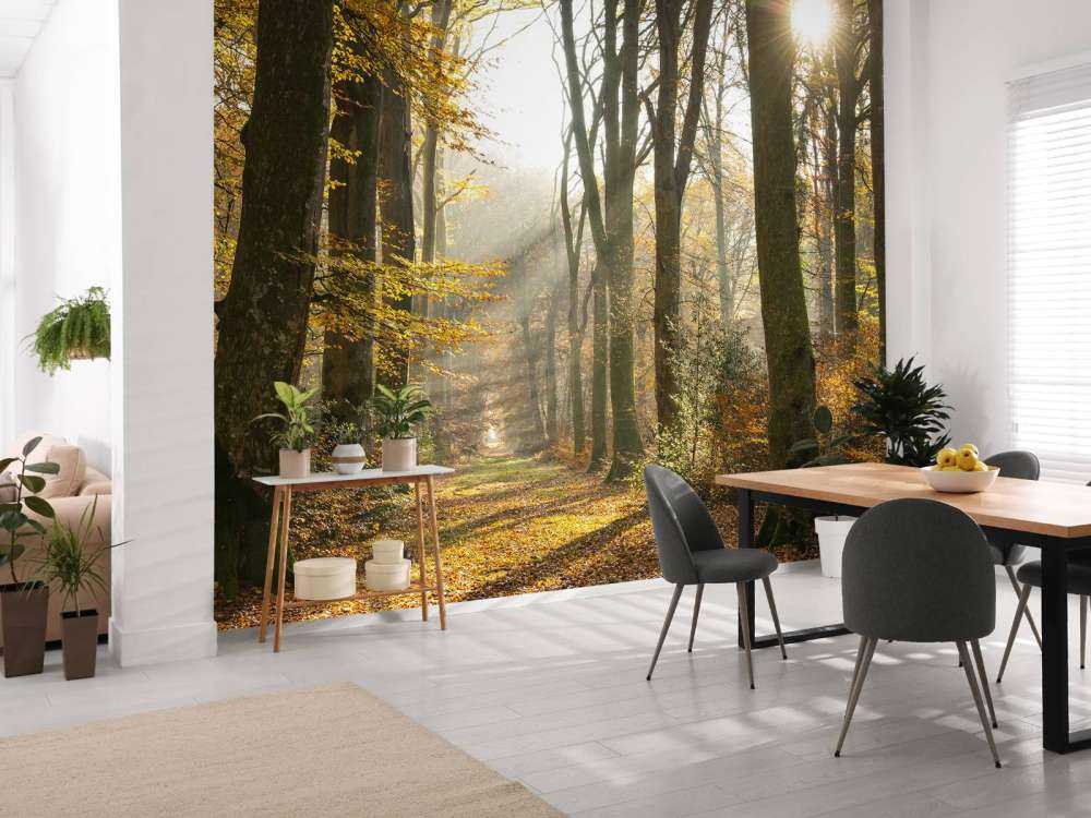 Wald von Crécy